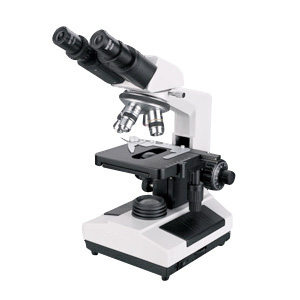 XSZ-N207